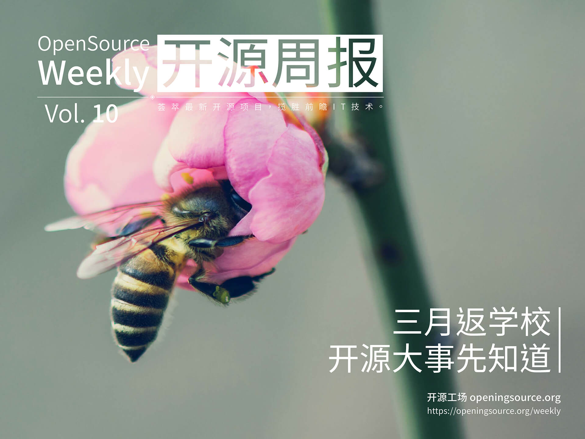 开源周报2018第10期：三月返学校，开源大事先知道