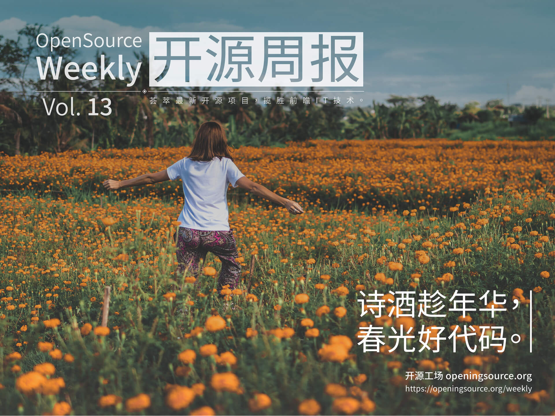 开源周报2018年第13期：诗酒趁年华，春光好代码
