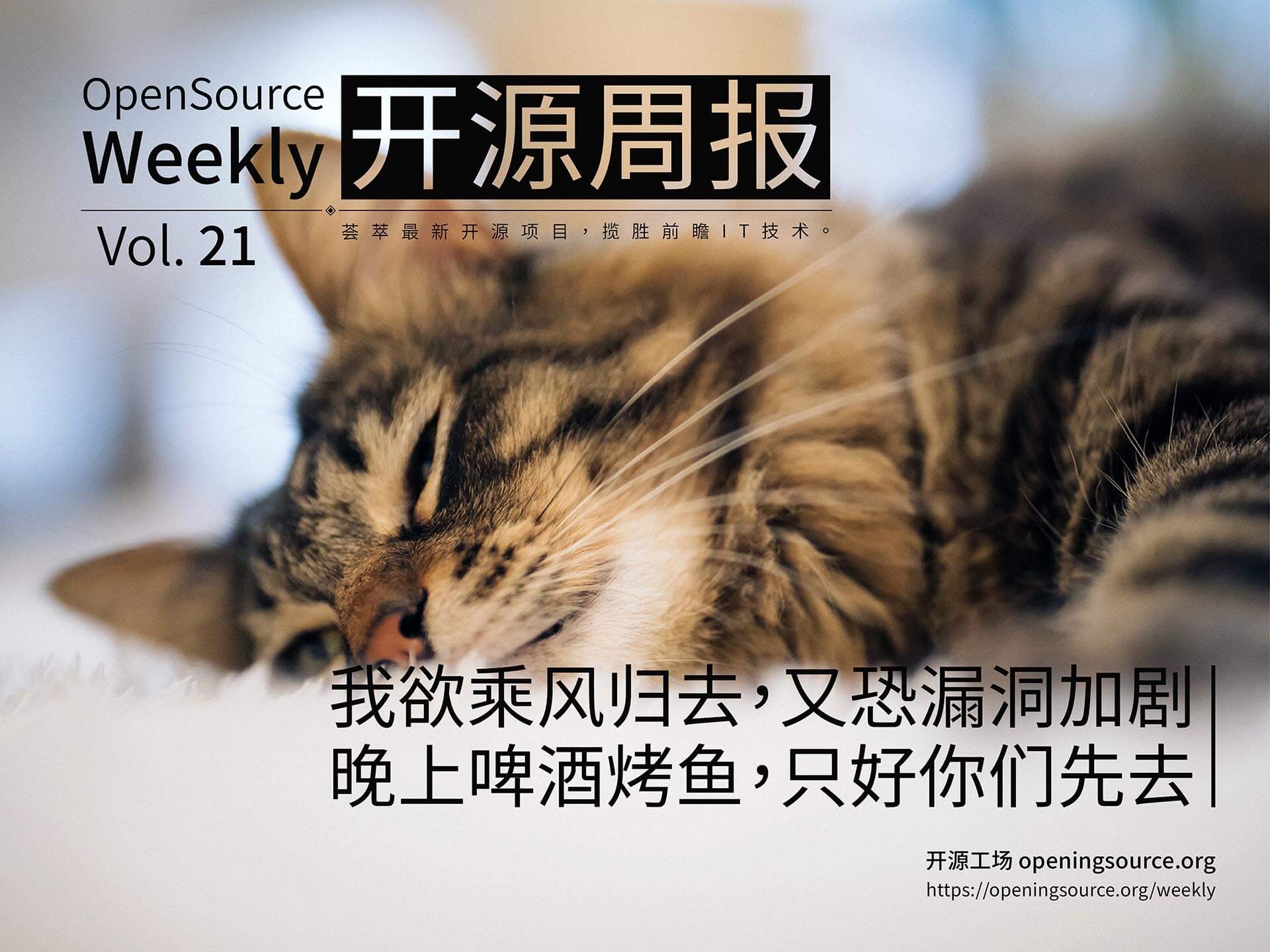 开源周报第21期：我欲乘风归去，又恐漏洞加剧，晚上啤酒烤鱼，只好你们先去