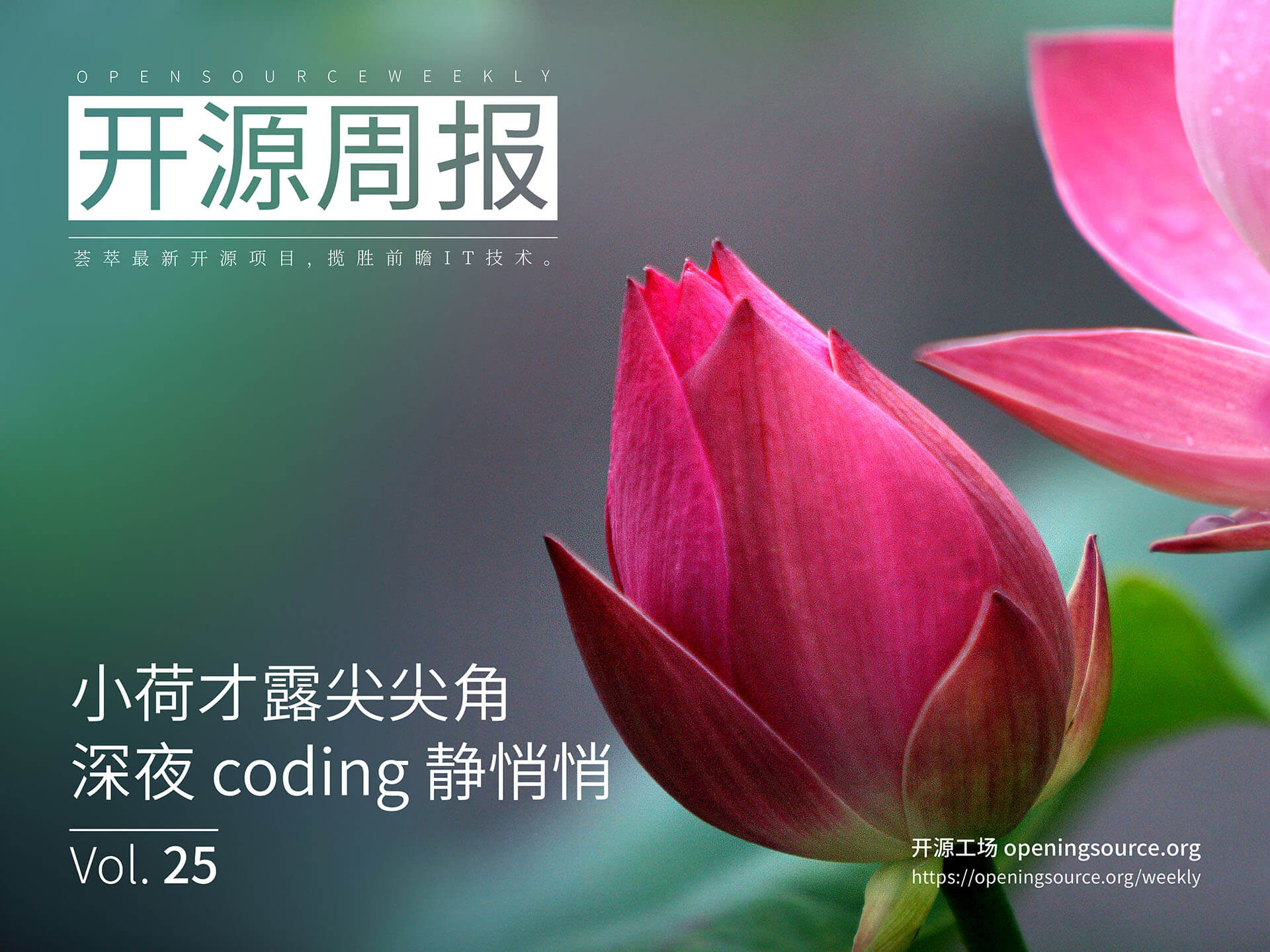 开源周报第25期：小荷才露尖尖角，深夜 coding 静悄悄